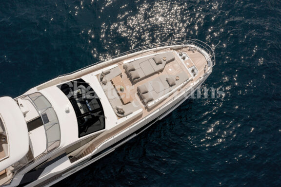 Nemesis gallery image