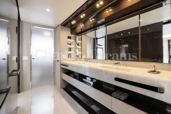 Nemesis gallery image