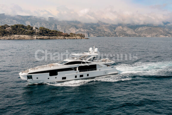 Nemesis gallery image