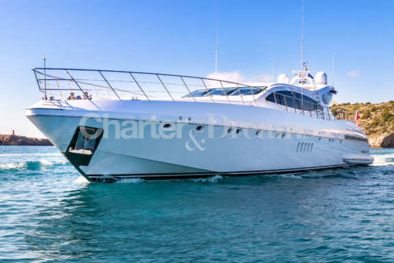 BELISA gallery image