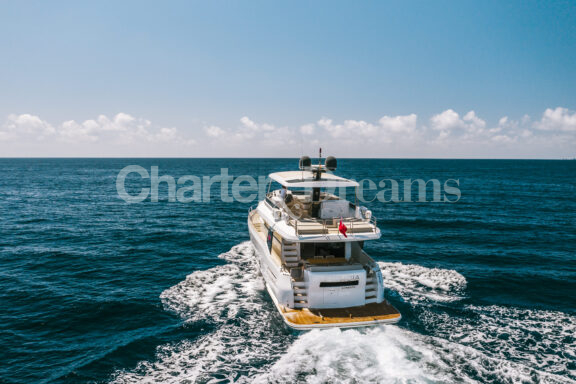 SALACIA gallery image