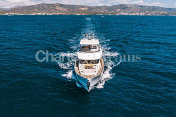 SALACIA gallery image