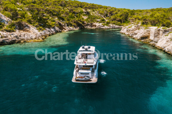 SALACIA gallery image